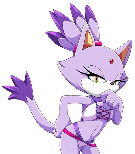 Pin By Солех Максудов On Blaze The Cat Furry Art Amy The Hedgehog Furry Pics