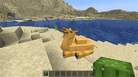 Minecraft What To Feed Camels Gamer Empire