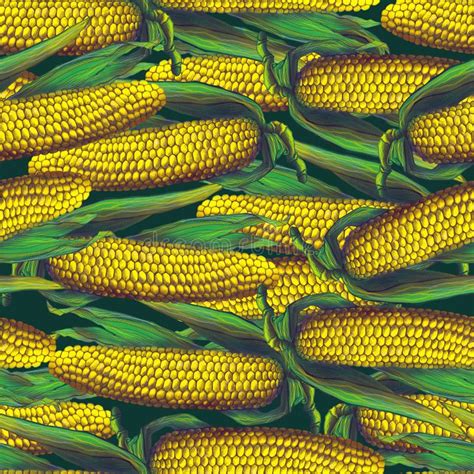 Ejemplo Inconsútil Del Bosquejo Del Modelo Del Color Gráfico Del Maíz