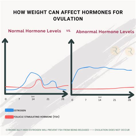 How Weight Affects Fertility In Women Radically Rooted Nutrition