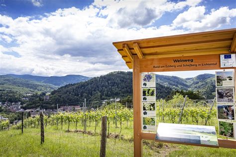 Weinweg Eckberg Schafberg Schwarzwald Tourismus GmbH