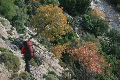 Antik Yolların İzinde Türkiyenin Tarihi Yürüyüş Rotaları