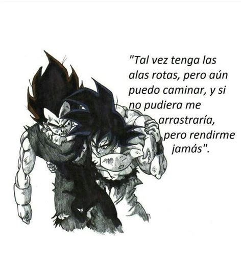 Las Frases De Vegeta Dragon Ball Espa Ol Amino Anime Dragon Ball