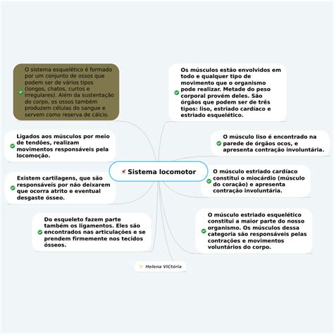 Mapas Mentais Sobre SISTEMA LOCOMOTOR Study Maps