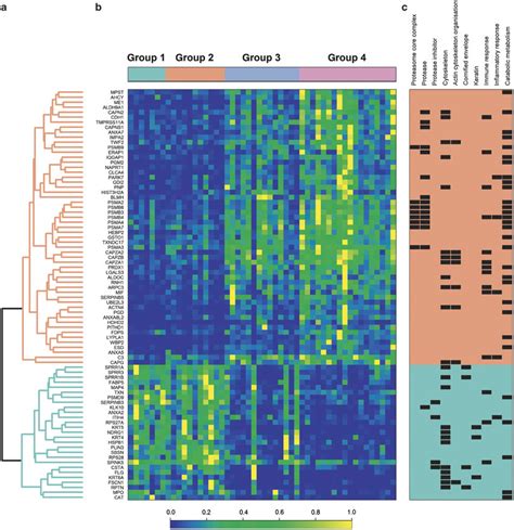 Hierarchical Clustering Heatmap And Classification Of Differentially