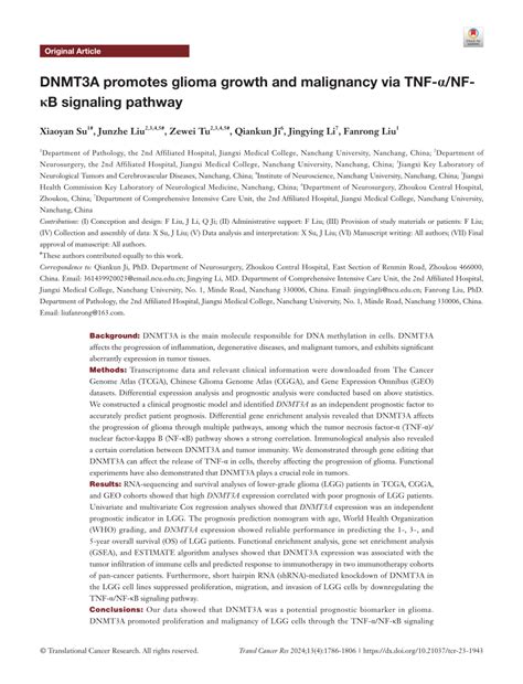 PDF DNMT3A promotes glioma growth and malignancy via TNF α NF κB