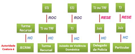 Como Elaborar Um Habeas Corpus IDPB