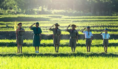 boys scout scouting  photo  pixabay