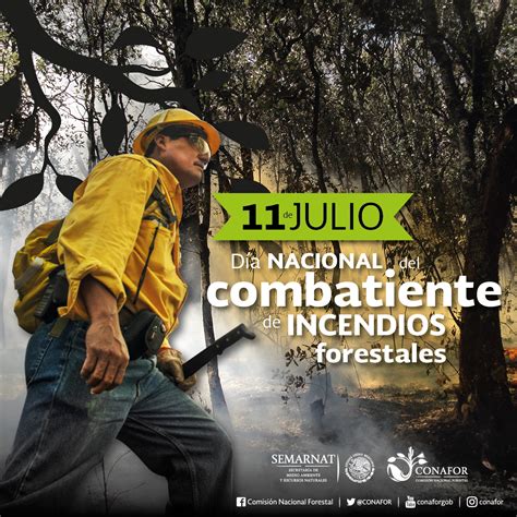 Conoce A Quienes Manejan El Fuego En México Comisión Nacional Forestal Gobierno Gob Mx