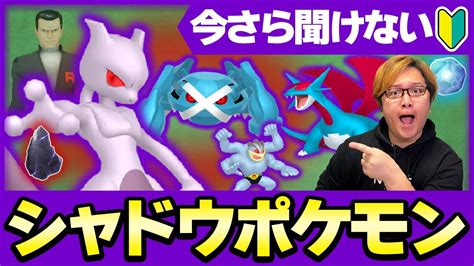 【新規向け】いまさら聞けないポケgoシャドウって結局何リトレーンって何でしない方が良いの【ポケモンgo】 Youtube