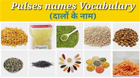 Pulses Names Vocabulary In Hindi And English With Picture Dalo Ke