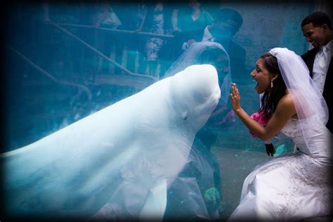 Mystic Aquarium | Reception Venues - The Knot