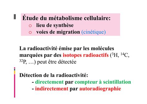 SOLUTION Td2 Autoradiographie 2022 23 Pr Sentation Amphi Studypool