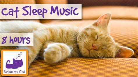 Over 8 Hours of Relaxing Music For Cats! Long Playlist For Cats ...