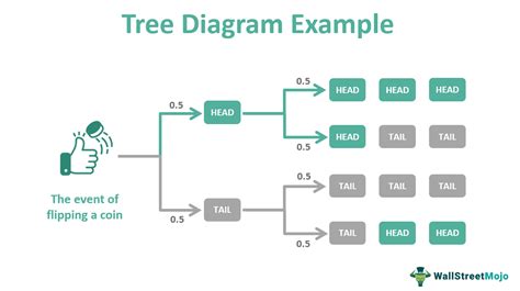 Tree Diagram Definition Probability Examples How To Make