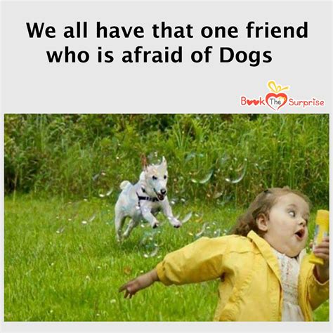 What Are Dogs Afraid Of