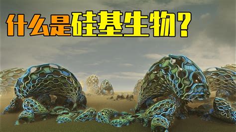 什么是硅基生物为什么地球上所有生物都是碳基生物 YouTube