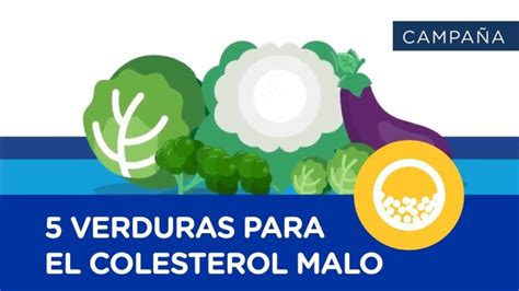 Descubre Los Alimentos Que Debes Evitar Para Controlar El Colesterol