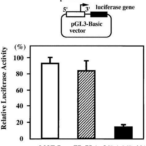 Effects Of 5 Aza Dc On Er α Gene Expression In Human Breast Cancer Cell Download Scientific