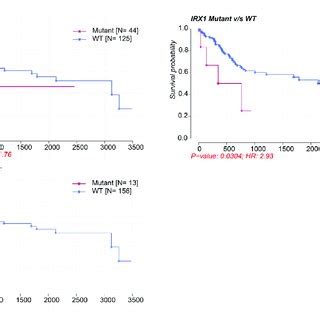 Kaplan Meier Survival Curves Comparing Patients Carrying Mutant Or