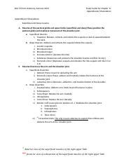 Study Guide For Chapter 11 Appendicular Skeleton Docx Biol 2153 01