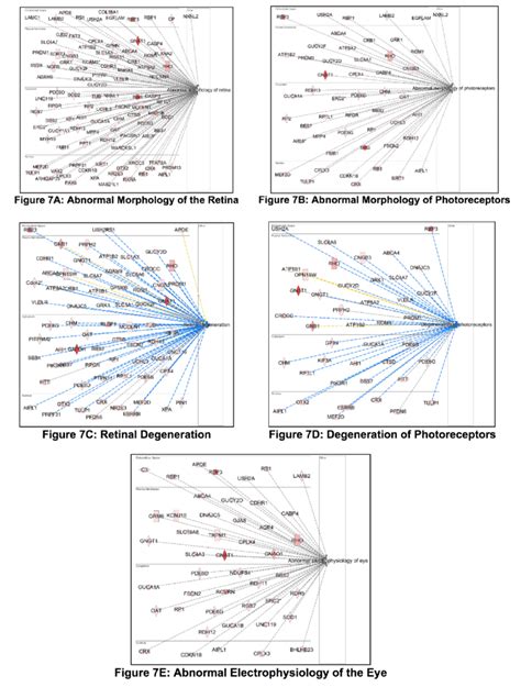 Ingenuity Pathway Analysis Ipa Core Analysis Downstream Effects