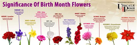 The Significance Of Birth Month Flowers Month Flowers Birth Month