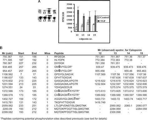 Transforming Growth Factor β1 Specifically Induce Proteins Involved In