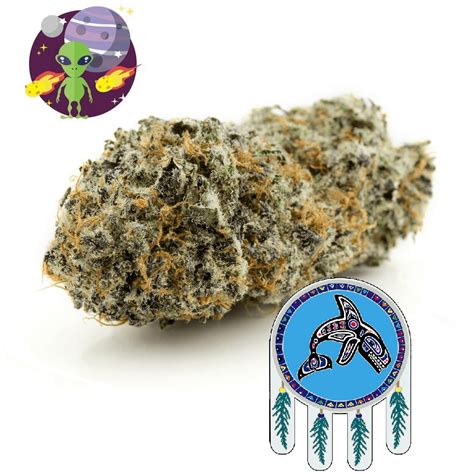 Buy Alien Og Weed Strain In Canada At Salish Trails