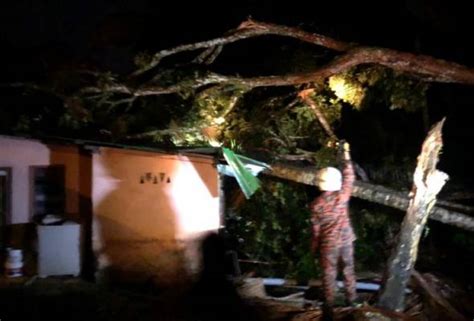 Hujan Lebat Akibatkan Beberapa Kes Pokok Tumbang Di Sungkai Astro Awani