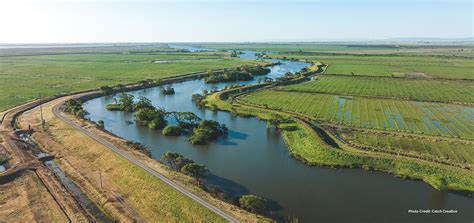 Lookout Slough Tidal Habitat Restoration And Flood Improvement Project