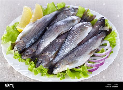 Siberian Grayling Hi Res Stock Photography And Images Alamy