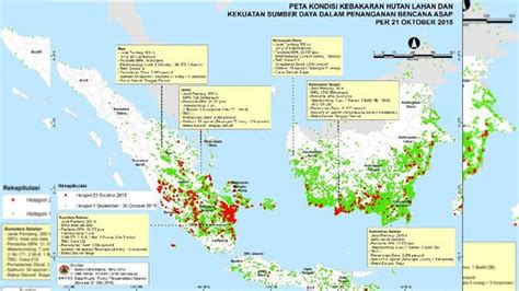 Peta Persebaran Hutan Mangrove Di Indonesia