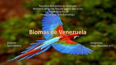 Biomas De Venezuela Ppt