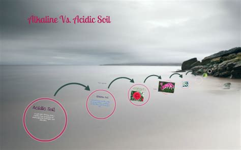Acidic Vs. Alkaline Soil by gabby r on Prezi