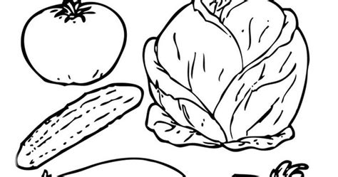 Detail Mewarnai Gambar Sayur Sayuran Koleksi Nomer 47