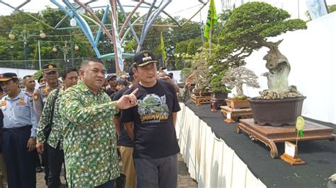 Bonsai Rp10 Miliar Dipamerkan Di Lamongan