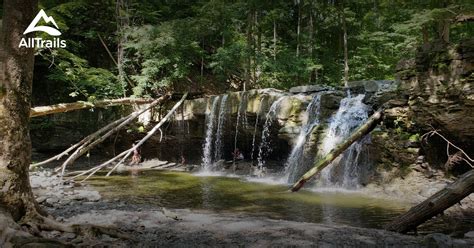 Best Trails near Union Springs, New York | AllTrails