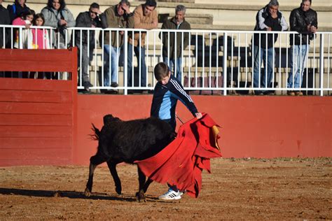 Diputaci N De Salamanca Clases Pr Cticas Curso