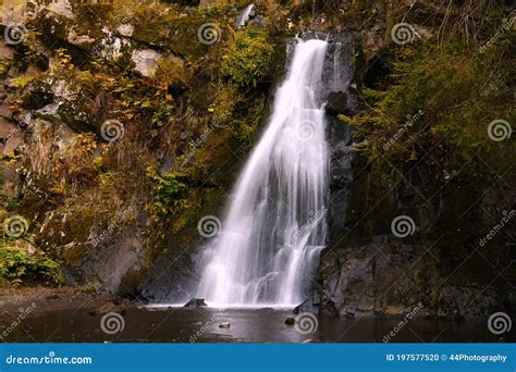 Romantischer Wasserfall Im Wald Stockfoto Bild Von Romantisch Frech