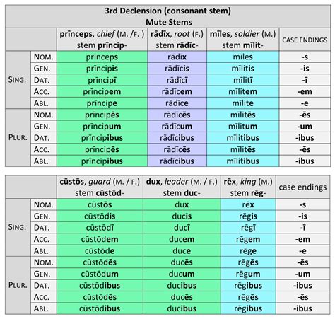 Long Vowels In Nouns And Verbs Endings R Latin