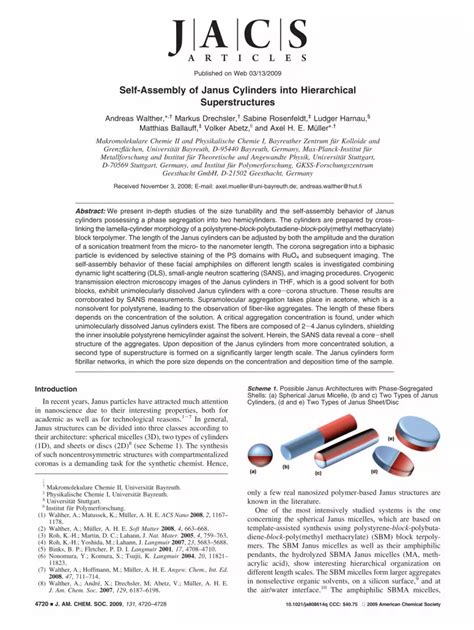 PDF Self Assembly Of Janus Cylinders Into Hierarchical