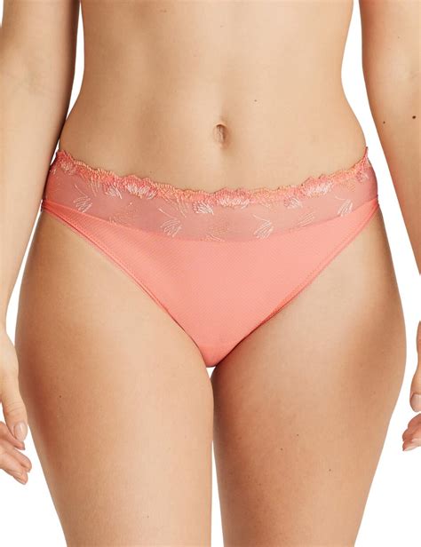 Prima Donna Plume Rio Briefs Belle Lingerie Prima Donna Plume Rio