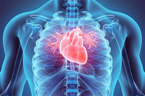 Cardiac Studies | MIC Medical Imaging