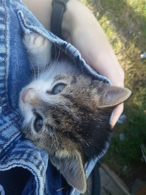 Illegally Smol Pocket Pussy Back At Business R Pocketpussy