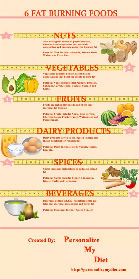 6 Fat Burning Foods Infographic Pdf