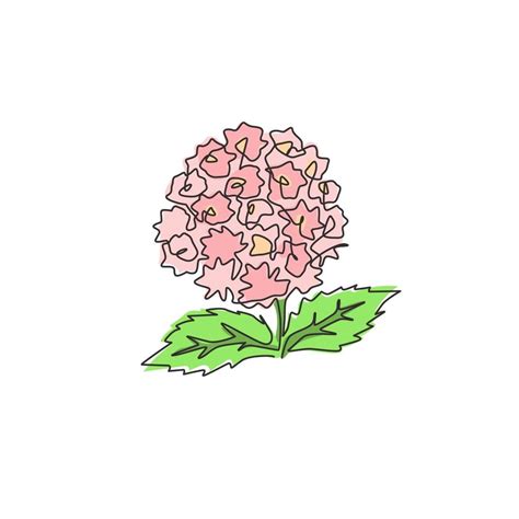 Single Continuous Line Drawing Of Beauty Fresh Lantana For Garden Logo