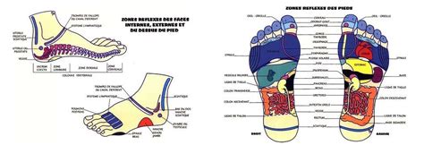 Réfléxologie Palmaire Reims Odélia Schreiber