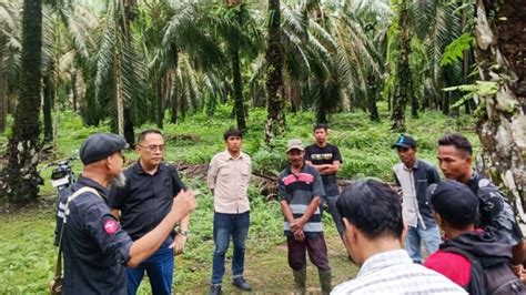 Berita Sawit Kolaborasi RSPO Dan IDH Indonesia Dorong Keterlibatan