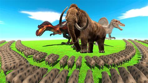 Dinosaur Evolution And The Wild Boar Challenge Tyrannosaurus VS